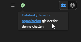 Skjermbilde som viser at databeskyttelsen er aktivert og at Copilot er i jobbmodus